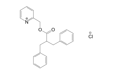 2-benzyl-3-phenylpropionic acid, (2-pyridyl)methyl ester, hydrochloride
