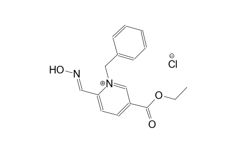 1-benzyl-5-(ethoxycarbonyl)-2-[(E)-(hydroxyimino)methyl]pyridinium chloride