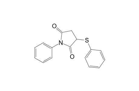 N-phenyl-2-(phenylthio)succinimide
