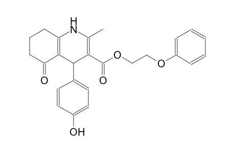 2-phenoxyethyl 4-(4-hydroxyphenyl)-2-methyl-5-oxo-1,4,5,6,7,8-hexahydro-3-quinolinecarboxylate