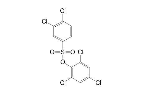 3,4-dichlorobenzenesulfonic acid, 2,4,6-trichlorophenyl ester