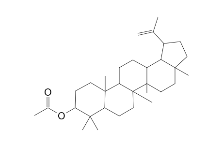 3b-Acetoxy-lup-20(29)-ene