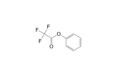 Phenyl trifluoroacetate