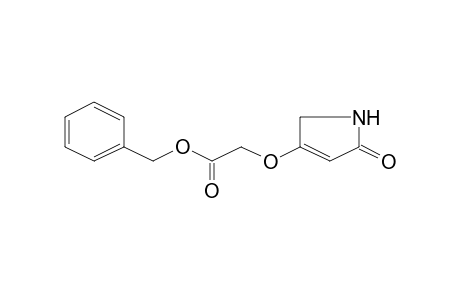 (5-Oxo-2,5-dihydro-1H-pyrrol-3-yloxy)acetic acid, benzyl ester