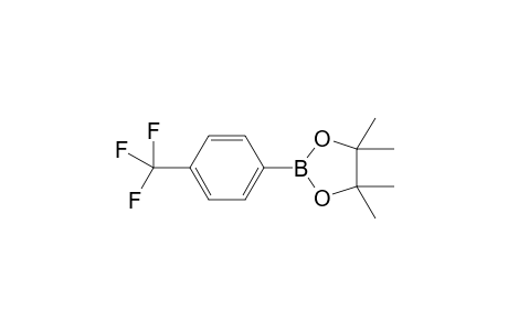 4-(4,4,5,5-TETRAMETHYL-1,3,2-DIOXABOROLANE-2-YL)-BENZOTRIFLUORIDE