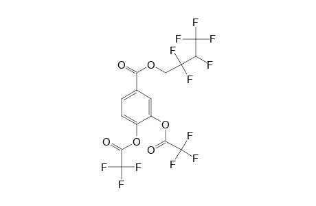 3,4-Dihydroxybenzoic acid, o,o'-bis(trifluoroacetyl)-, 2,2,3,4,4,4-hexafluorobutyl ester