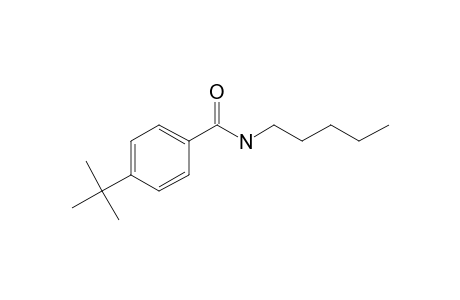 Benzamide, 4-(tert-butyl)-N-pentyl-