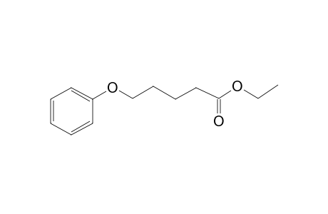 Pentanoic acid, 5-phenoxy-, ethyl ester