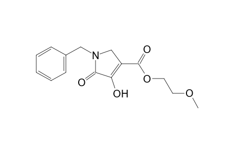 1-benzyl-4-hydroxy-5-oxo-3-pyrroline-3-carboxylic acid, 2-methoxyethyl ester