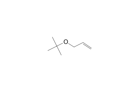 1-Propene, 3-(1,1-dimethylethoxy)-