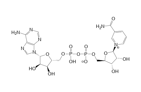 β-Nicotinamide adenine dinucleotide