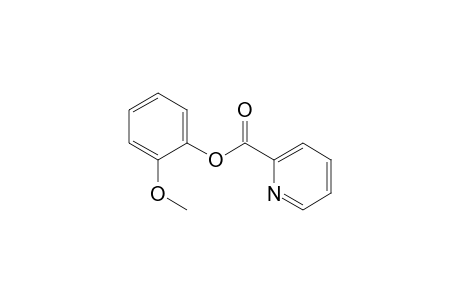 2-Methoxyphenyl picolinate