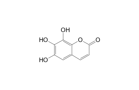 6,7,8-TRIHYDROXYCOUMARIN