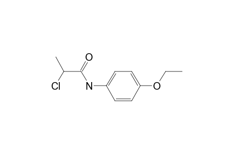 Propanamide, 2-chloro-N-(4-ethoxyphenyl)-