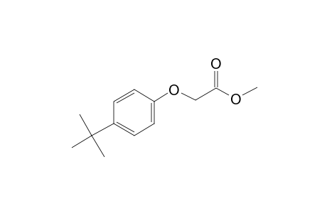 Acetic acid, [4-(1,1-dimethylethyl)phenoxy]-, methyl ester