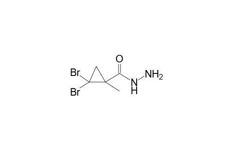 2,2-Dibromo-1-methylcyclopropanecarbohydrazide