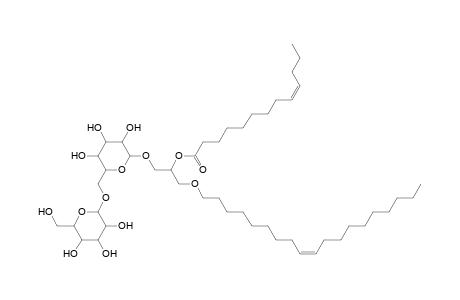 DGDG O-19:1_13:1