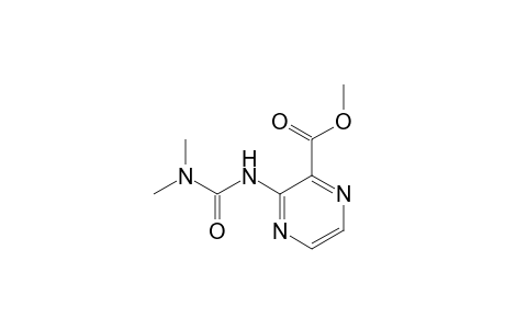 3-(dimethylcarbamoylamino)pyrazinic acid methyl ester