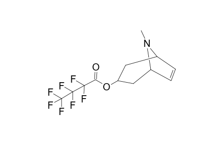 Tropenol HFB