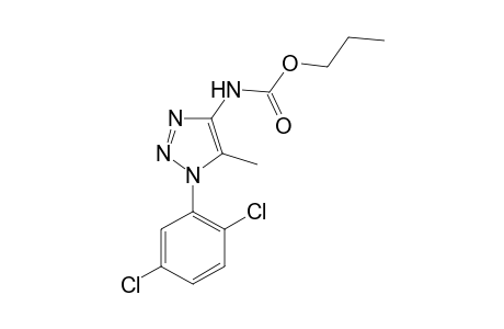 Propyl 1-(2,5-dichlorophenyl)-5-methyl-1H-1,2,3-triazol-4-ylcarbamate