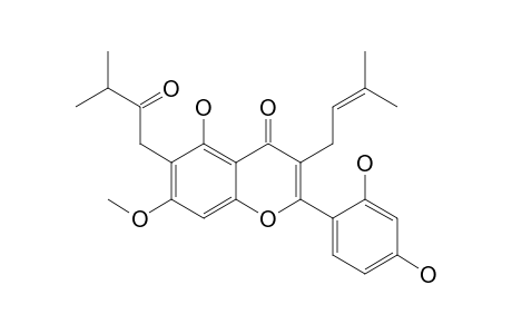 2-(2,4-Dihydroxyphenyl)-5-hydroxy-7-methoxy-3-(3-methylbut-2-en-1-yl)-6-(3-methyl-2-oxobutyl)-4H-1-benzopyran-4-one