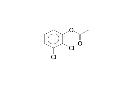 Phenol, 2,3-dichloro-, acetate