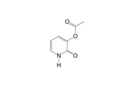 3-acetoxy-2(1H)-pyridone