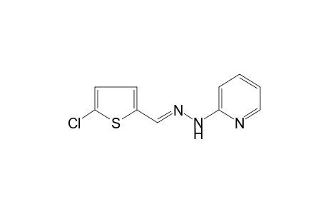 5-chloro-2-thiophenecarboxaldehyde, (2-pyridyl)hydrazone