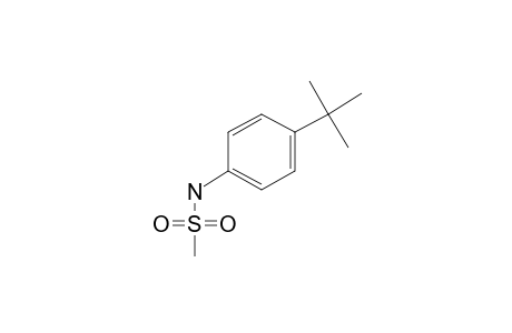 4-Tert-butylaniline, N-methanesulfonyl-