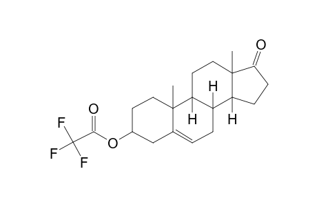 Trans-dehydroandrosterone, trifluoroacetate