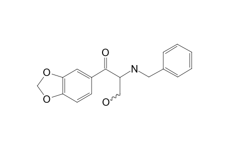 BMDP artifact