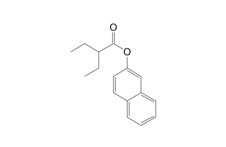 2-Ethylbutyric acid, 2-naphthyl ester