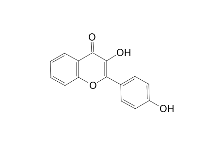 4'-HYDROXYFLAVONOL