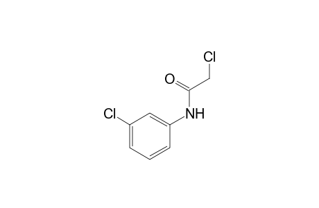 2,3'-dichloroacetanilide