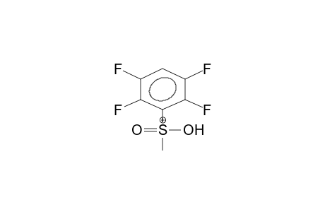 2,3,5,6-TETRAFLUOROPHENYLMETHYLSULPHONE, PROTONATED