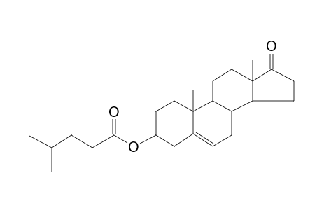 5-Dehydro-epi-androsterone isocaproate