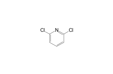 2,6-Dichloropyridine