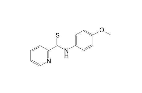 THIO-p-PICOLINANISIDIDE