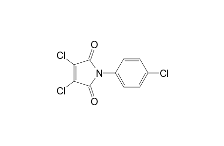 N-(p-chlorophenyl)-2,3-dichloromaleimide