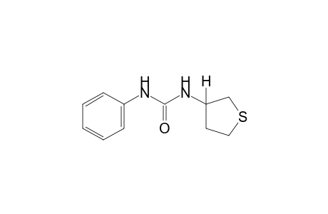 1-phenyl-3-(tetrahydro-3-thienyl)urea