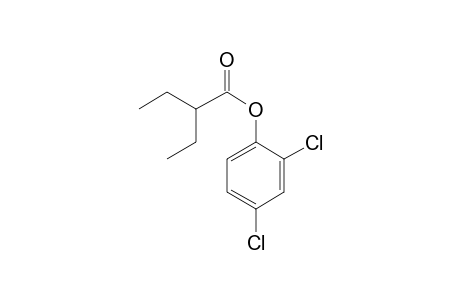 2-Ethylbutyric acid, 2,4-dichlorophenyl ester