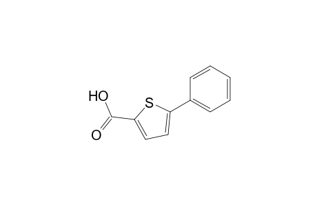 5-phenyl-2-thiophenecarboxylic acid