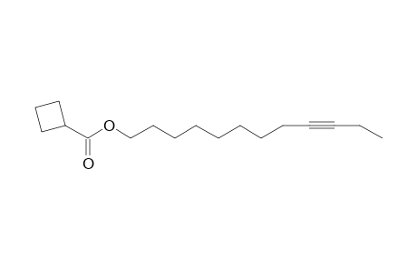 Cyclobutanecarboxylic acid, dodec-9-ynyl ester