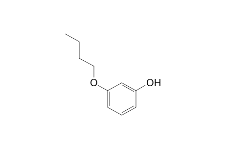 m-Buoxyphenol