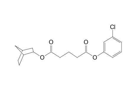 Glutaric acid, 2-norbornyl 3-chlorophenyl ester