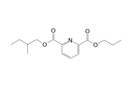 2,6-Pyridinedicarboxylic acid, 2-methylbutyl propyl ester