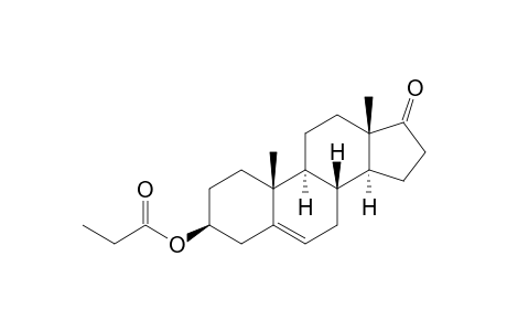 Dehydroepiandrosterone propionate