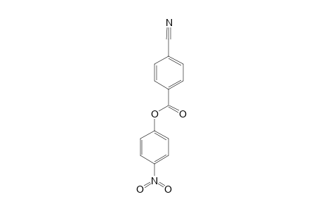 p-cyanobenzoic acid, p-nitrophenyl ester