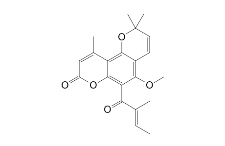 Oblongulide