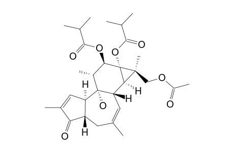 17-ACETOXY-4,20-DIDEOXYPHORBOL-12,13-BIS-(ISOBUTYRATE)